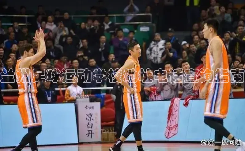 杏宇平台代理注册网易
