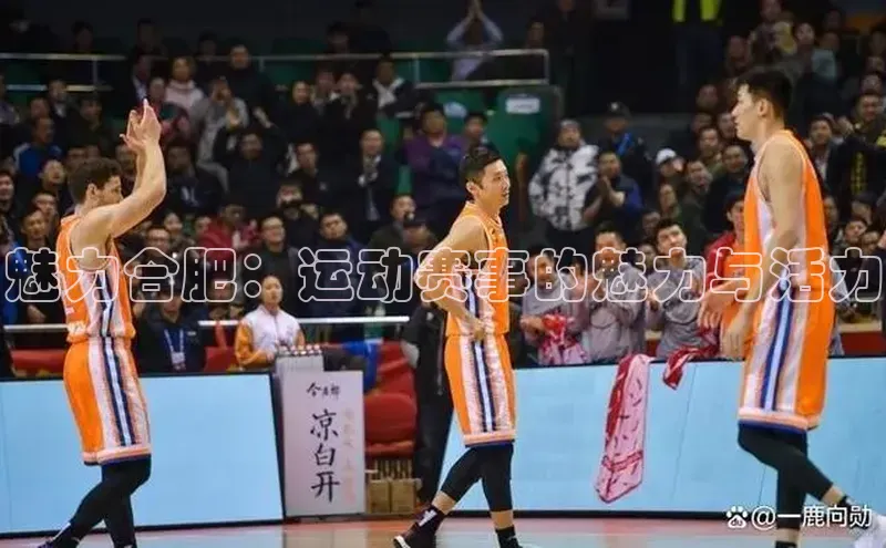 杏宇平台登录首页