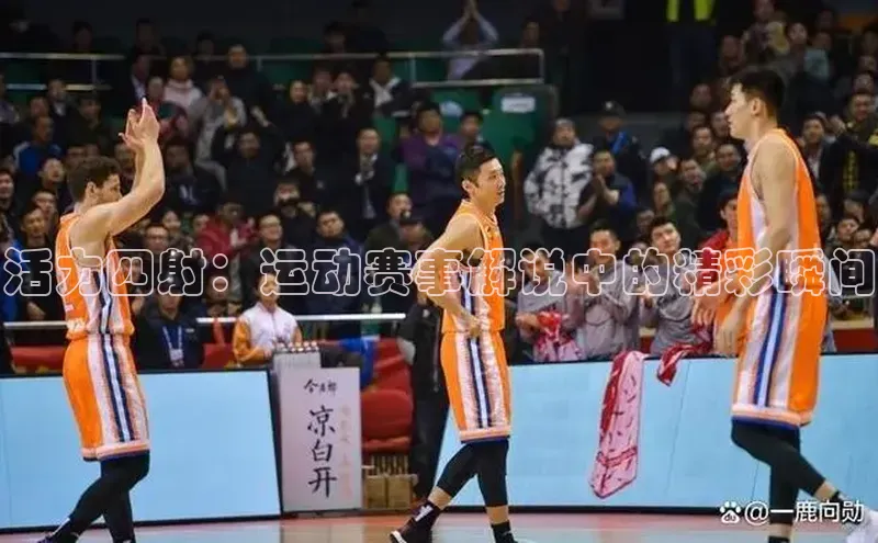 杏宇平台登陆
