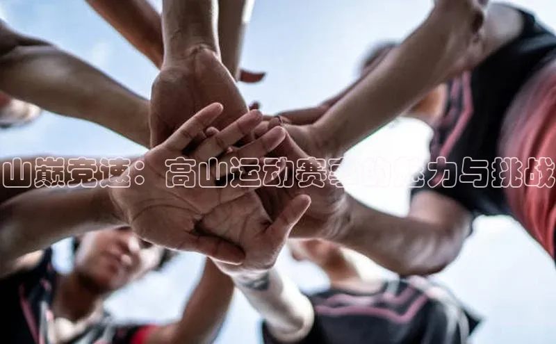 杏宇平台登录入口注册账号
